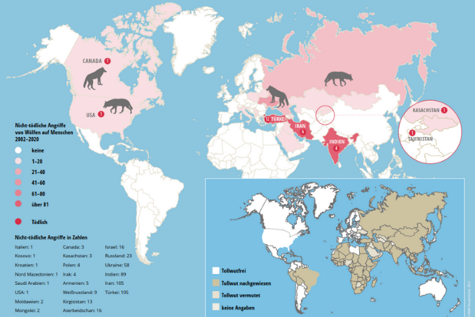 Angriffe von Wölfen auf Menschen weltweit und Tollwutgebiete (2002-2020)