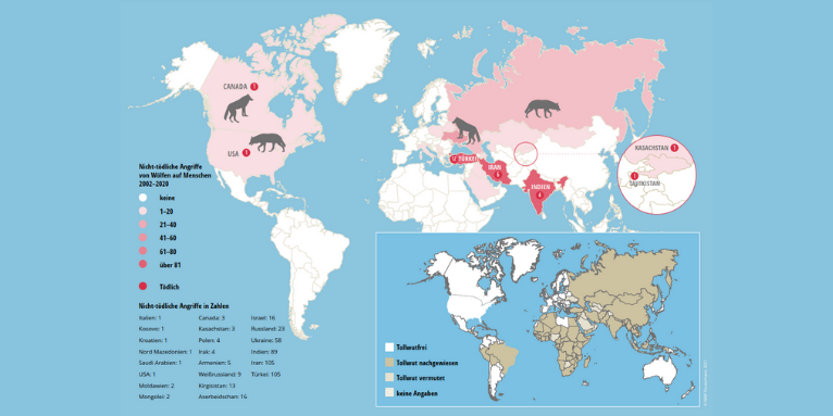 Übergriffe von Wölfen auf Menschen weltweit und Tollwutgebiete (2002-2020)