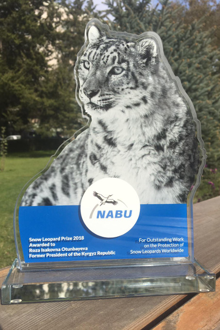 Erstmals 2018 vergeben: der NABU-Schneeleopardenpreis - Foto: NABU