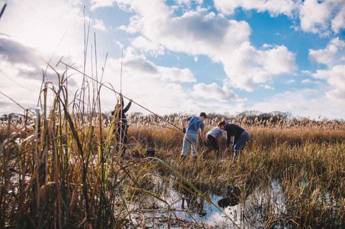 Ob sich das Moor für Paludikultur eignet? Das wird hier von jungen Wissenschaftler*innen untersucht - Foto: Tom Barrett / Broads Authority