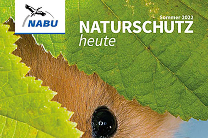 Titelbild der Mitgliedszeitschrift Naturschutz Heute