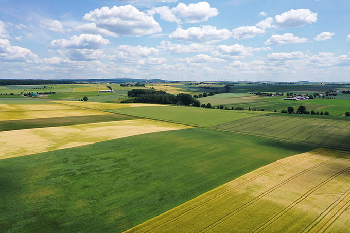 Konservierende Landwirtschaftssysteme bieten eine große Chance für nachhaltigen Wandel unserer Landwirtschaft. - Foto: Jan Piecha