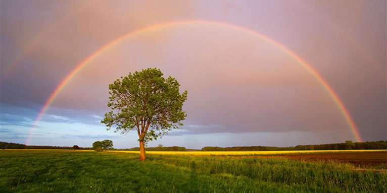 Vielen Menschen ist die Wiederherstellung und Erhalt der Natur wichtig - Foto: Jan Piecha/NABU