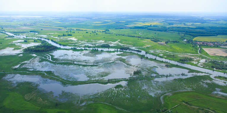 Der Grün-Feucht-Kühl-Index zeigt: Renaturierung, wie hier an der Unteren Havel, wirkt. – Foto: NABU/Klemens Karkow