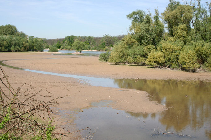 Rhein-Landingpage