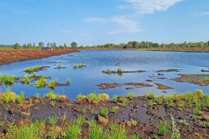 Wasserreservoir für Toormoos-Anzuchtsflächen im Ahlen-Falkenberger Moor - Foto: Rewe