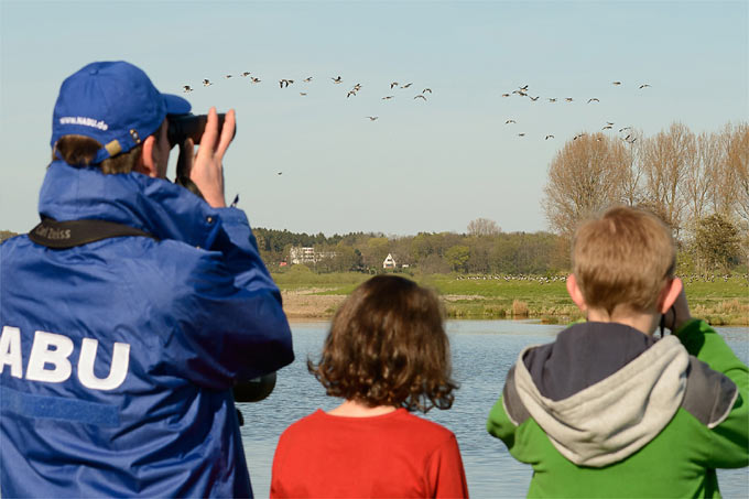 Vogelbeobachtung in der Wedeler Marsch - Foto: NABU/Guido Rottmann