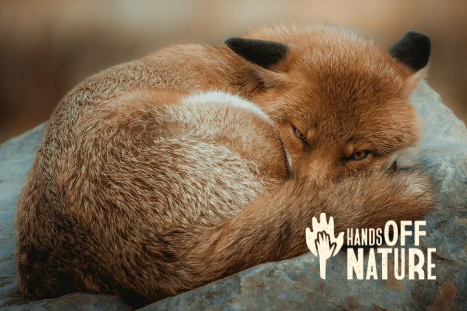 Hands Off Nature