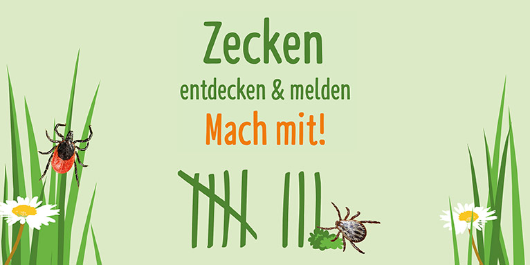 Zecken melden - Grafik: Elisa Klaffus