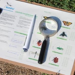 Mit dieser Zählhilfe ist Mitmachen beim Insektensommer ganz einfach - Foto: NABU/Helge May