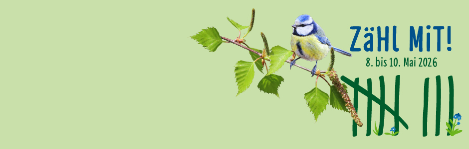 Slider-Bild