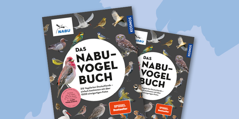 Das NABU-Vogelbuch - Grafik: Kosmos