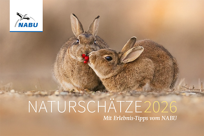 NABU-Kalender 2026 - Foto: Julian Rad