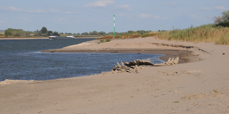 Rhein Niedrigwasser Salmorth Höhe Spijk - Foto: Janna Hünnekes