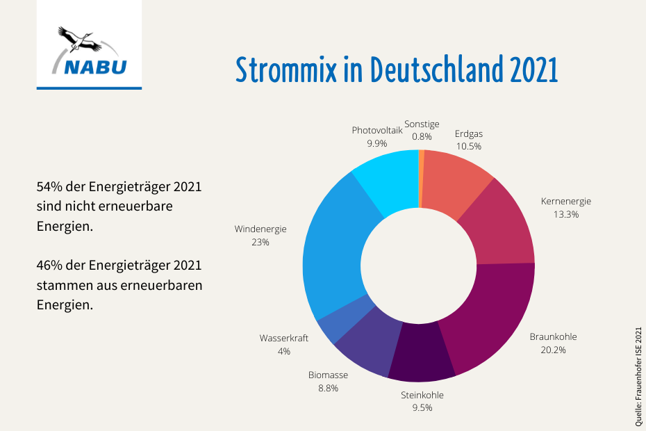 Strommix in Deutschland 2021 - Grafik: NABU