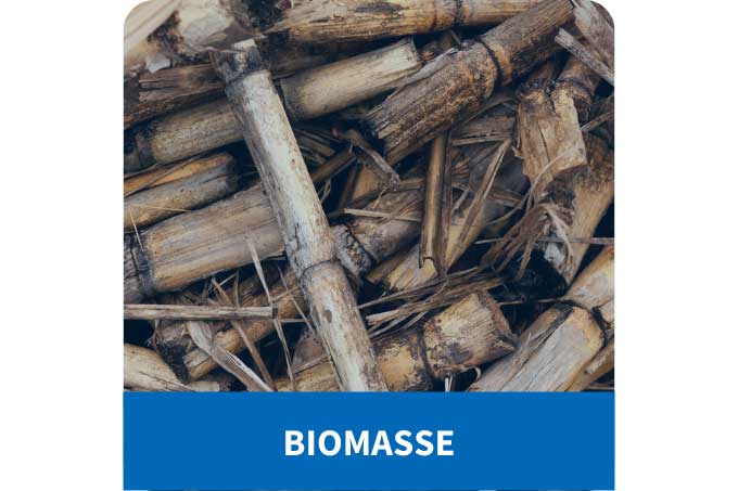 Biomasse. - Foto: pixabay/PublicDomainPictures