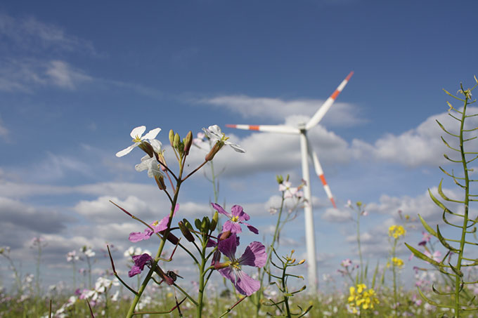 Windkraft - Foto: Kenneth Brockmann/pixelio.de