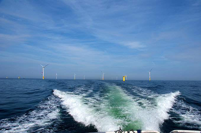 Errichtung von Offshore-Windkraftanlagen des Offshore-Windparks Baltic 1 in der deutschen Ostsee. Foto: NABU/Andreas Fußer