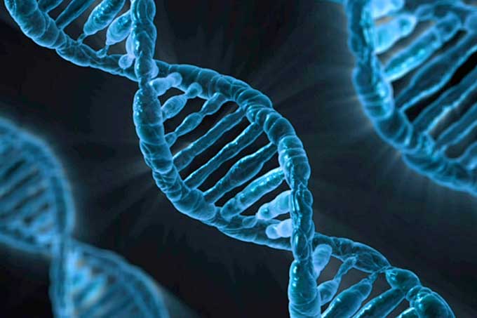 DNA-Doppelstrang - Foto: PublicDomainPictures/pixabay